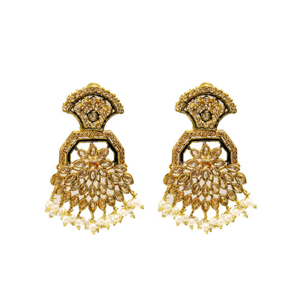 Earring - ER164